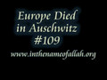 109 Europe Died in Auschwitz