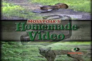 Mossy Oak - Moose vs. Stump