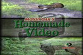 Mossy Oak - Newborn Fawn