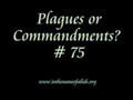 75 Ten Plagues or Ten Commandments