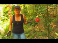 Garden Girl TV: Harvest Part Two