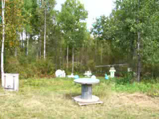Paintball Target