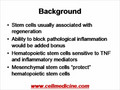 Immune Modulation by Bone Marrow Mesenchymal Stem Cells