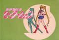 Sailor Moon Eyecatcher (1st Season)
