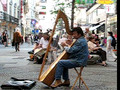 Harpist In Vienna