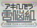 Cyber Team in Akihabara 16 (Sub Latino)