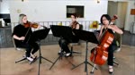 Watch Videos Online | The Ocdamia Strings - Classical Trio Los Angeles 'Marry You' | Veoh.com