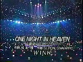 Wink live on TV show~One Night in Heaven~