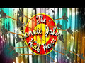 The Ronnie Johns Half Hour S02E03.avi