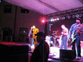 Fabulous Thunderbirds, lead guitarists playing behind head, Loveland CO.wmv