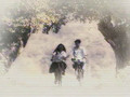 [MV] Main Title - Autumn in My Heart