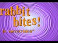 Rabbit Bites: Dana Snyder of Aqua Teen Hunger Force