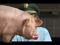 Orwell Was An Optimist, Episode 4:  Lipstick on a Pig