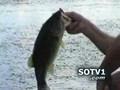 Explosive Frog Fishing for Bass