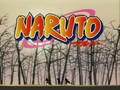 Naruto AMV-Re:member