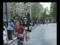 Spring Sprint Sloan Critchfield 5K Memorial Run/Walk, Waynflete School, Portland,