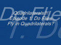 Quadrilaterals Episode 1: Flies