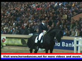 Friesian Horses in Action Jenny & Wolter Music High