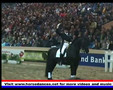 Friesian Horses in Action Jenny & Wolter Show Leeuwarden