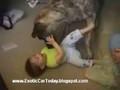 Baby Love to play With Dog