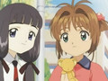 15 - Sakura y Kero se pelean