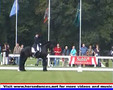 Friesian Horses in Action Tsjabring 429 Kootwijk2006