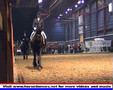 Friesian Horses in Action Ck2006 nr1718
