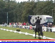 Friesian Horses in Action Ielke 382 Kootwijk2006