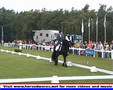 Friesian Horses in Action Tetse394 Kootwijk 2006