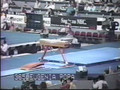 1989 Worlds SI Team Optionals Part 1.wmv