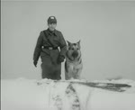 Harras Der Polizeihund - In letzter Minute DDR1966