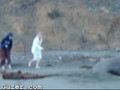 Eleaphant Seal Rudely Waken by Hot Female Teen