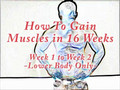 How To Build Muscle in 16 Weeks - Lower Body week 1 to 2