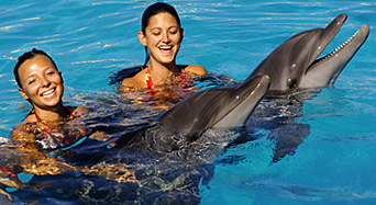 Vallarta Adventures Swim with Dolphin