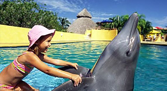 Vallarta Adventures Dolphin Kids