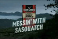 Messin' With Sasquatch - Binoculars