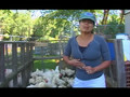 Garden Girl TV: My Trip to the Chicken Processor