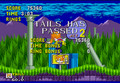 Tails in Marble Zone