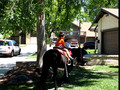 Ethan riding a pony