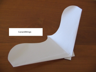 Flight of CanardWings paper glider