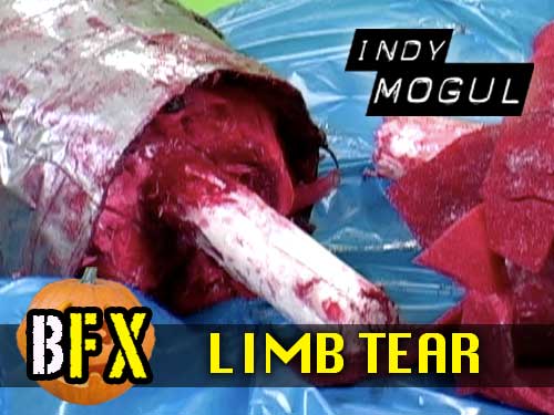 BFX: Limb Tear