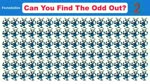 Can You Find Odd One Part-2