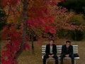 MV Autumn in My Heart