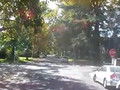 Sacramento Silliness Video