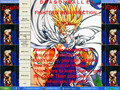 Dragon Ball EX:  Fighters' Resurrection Final CD Installation Program Video