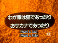 Kimagure Orange Road - OVA 03 - I'm a Cat, I'm a Fish