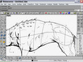 Rhino Creature Modeling vid1