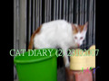 CAT DIARY (2) 23102007