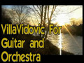 VillaVidovic