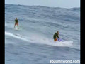 Surfer Catches Huge Wave